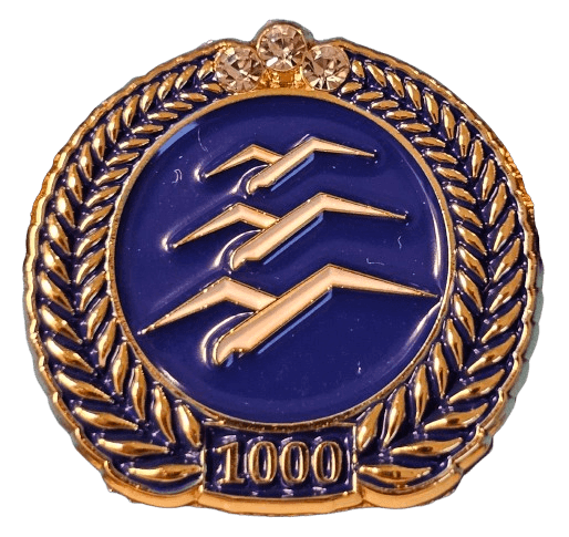 Gliding 1000 km badge metal pin product photo for distance diploma