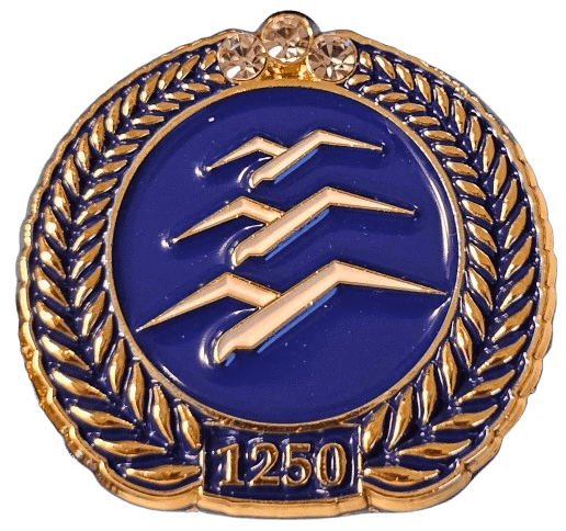 Gliding 1250 km badge metal pin product photo for distance diploma