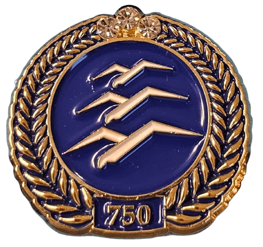 Gliding 750 km badge metal pin product photo for distance diploma