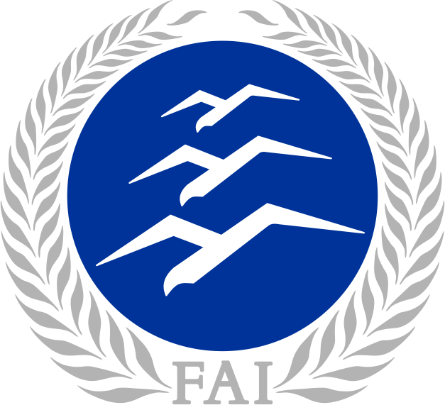 Silver badge illustration
