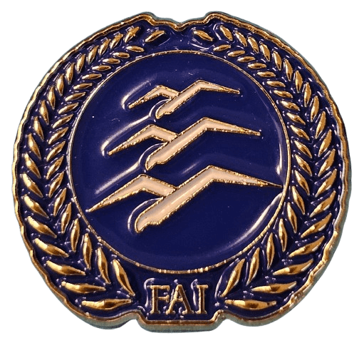 Gliding Gold badge metal pin product photo
